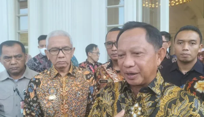 BNPP Perkuat Wilayah Perbatasan, Termasuk Perbatasan RI-RDTL