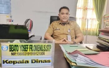 Tingkatkan Kualitas Pendidikan, Dinas P dan K TTU Perkuat Dasar Literasi dan Numerasi Guru SD