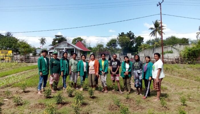 Mahasiswa PKM Unimor Gandeng Masyarakat Besikama Lakukan Baksos