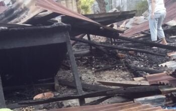 BREAKING NEWS: Si Jago Merah Lahap Sekret IMATTU di Kota Kupang