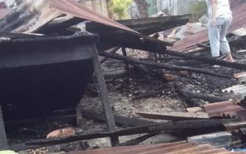 BREAKING NEWS: Si Jago Merah Lahap Sekret IMATTU di Kota Kupang