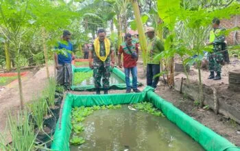 Dandim 1618/TTU Kunjungi Poktan Cakra di Oenenu Selatan, Dorong Budidaya Ikan Air Tawar